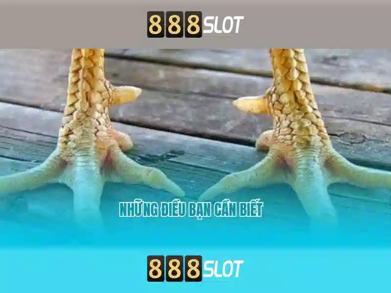 💎nhà cái tặng tiền trải nghiệm 2021💎