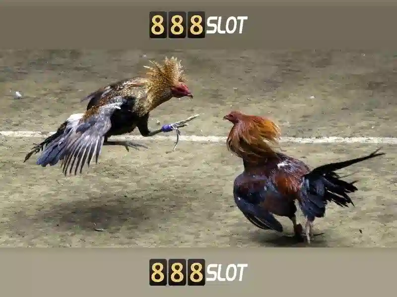 💎đánh bạc nghìn tỷ💎