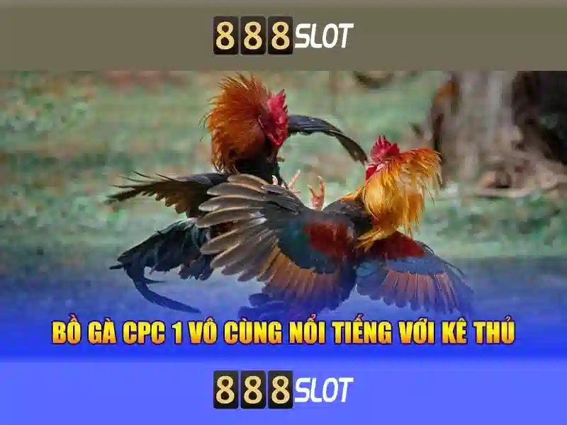 💎best felt gaming slot sites💎