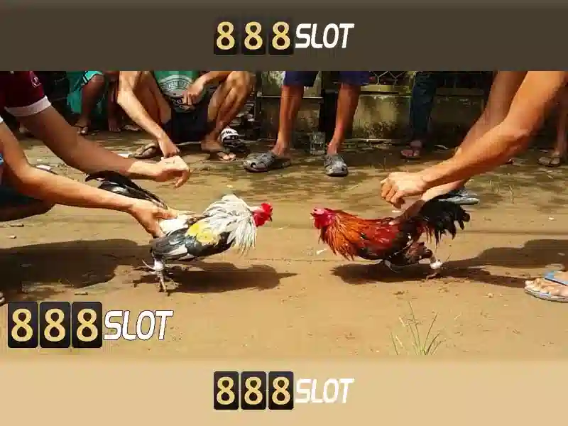 💎top 12 nhà cái uy tín nhất hiện nay💎