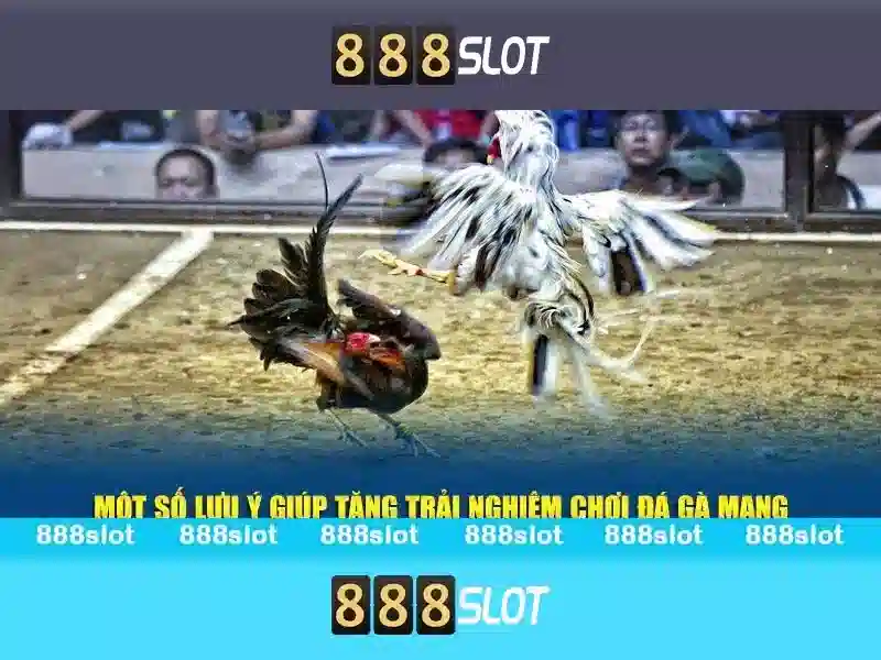 888SLOT – Liên Hệ 888slot Poker – Trang Chủ 888SLOT - 888slot