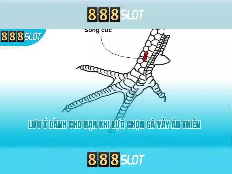 💎satria 888 slot💎 - allgame slot 888 - casino 888 free online slot machine