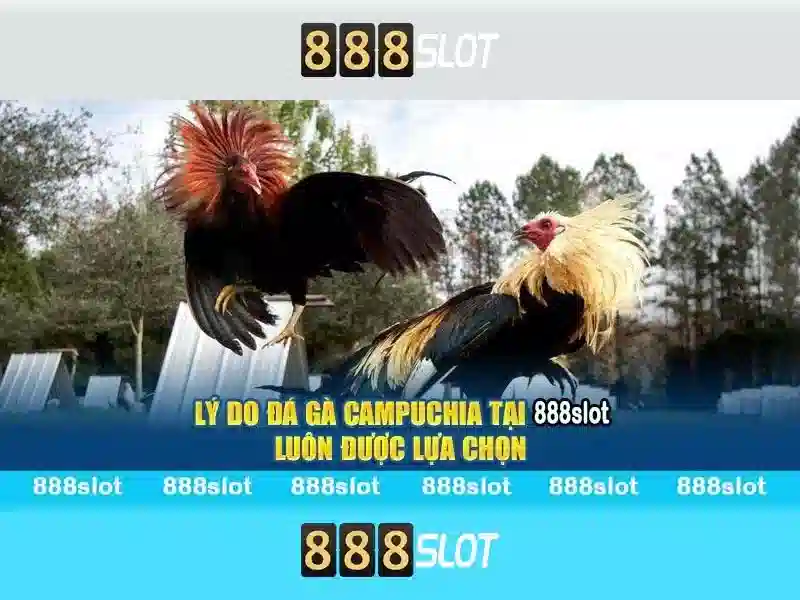 💎online casinos with wms slots💎