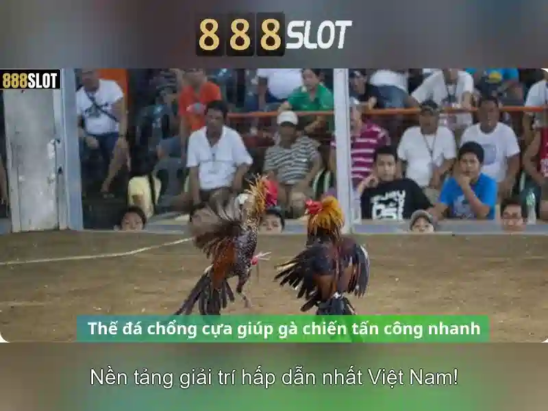 💎danh bac mang💎