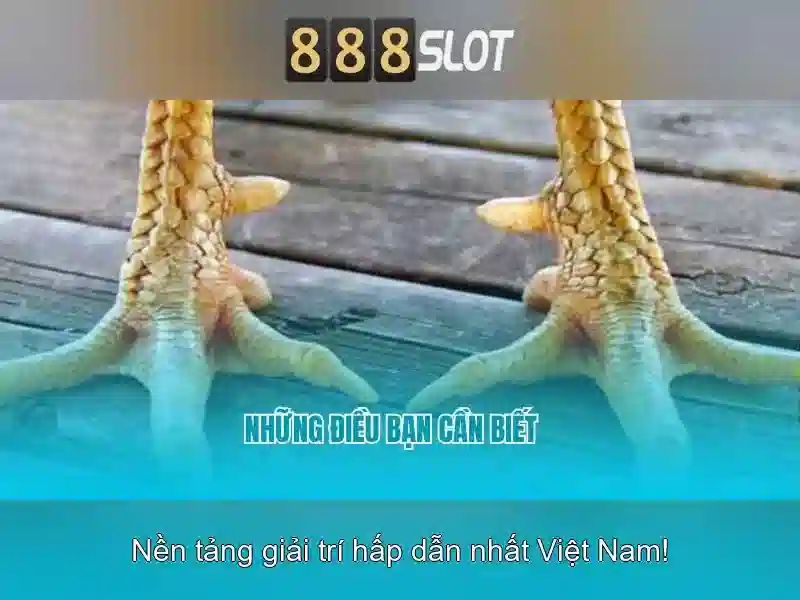 💎kèo nhà cái việt nam và💎