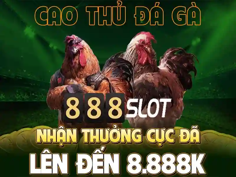 💎nhà hàng nam sơn móng cái quảng ninh ảnh💎